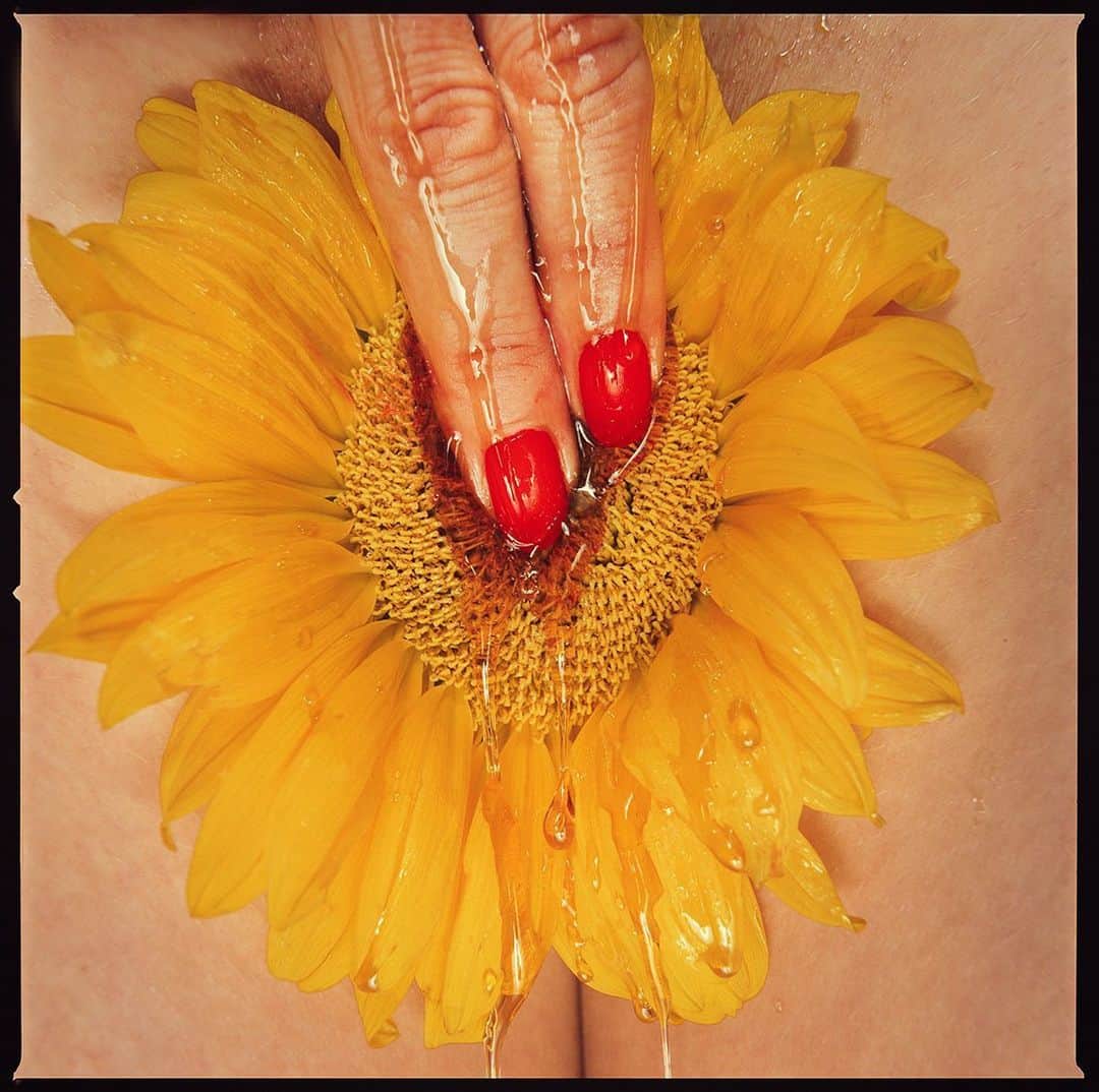 タイラー・シールズのインスタグラム：「Sunflower. So many people I talk to recently have built up a wall of stress, as they are carrying weight that serves them no purpose. Stress is an enemy that attacks your entire body. Try and let the stress go, let go of whatever it is that is keeping you locked up inside. This is from my Indulgence series which I will be posting for the next week or so. I started this series way back in 2012 and it has evolved over the years. This was shot on my vintage Hasselblad camera, the film gives this texture and look that just can’t be duplicated. Would you be bold enough to hang this print in your home?」