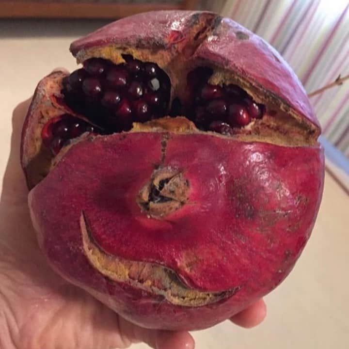 uglyfruitandvegのインスタグラム：「Pomegranate is Happy Today! 😃 IG Pic by chelseahollow #TBT #ISeeFaces」