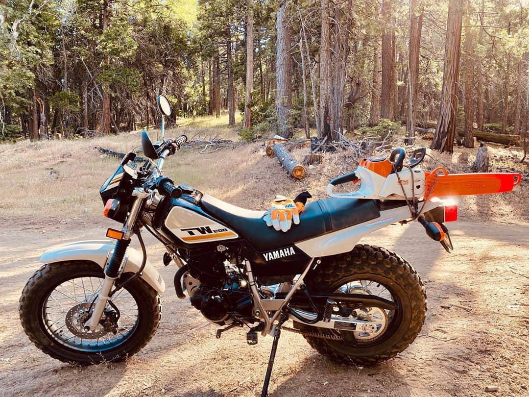 のインスタグラム：「Amazing day in the forest with my electric saw, my bike and my friends. Getting some oak firewood on the ranch! I know my dad was with us in spirit! I used to go on woodcutting excursions with him as a kid and now, it’s just as magical! Safety first! Swipe to see the dead trees (which were a hazard) fall! Not an ad, but my friends and family bleed orange and white for Stihl! 🤍🧡🤍🧡🤍🧡🤍🧡 Also side note: The saw is a Stihl MSA220 C B with the AP300S battery. The bike is a Yamaha tw200. This isn’t an ad or affiliated with anything. All my stuff that I bought and own.  The trees are Oak and Cedar. Yes, they were dead for years (which is dangerous because they could fall at anytime) and this was legal on private property.  And yes, I am reforesting. I have planted 20 new trees since May, 1st this year! It’s very important to the environment and ecosystem to maintain dead trees and plant new ones. If you don’t, it can cause wildfires, spread arbor  susceptible diseases (bark beetles) or even fall on someone walking their doggo!」