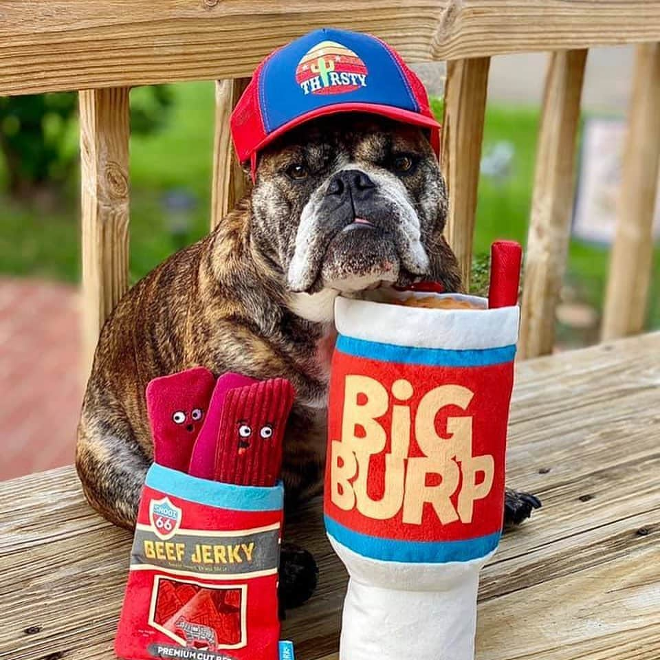 BarkBoxさんのインスタグラム写真 - (BarkBoxInstagram)「YOU ASKED FOR 'EM, now we've got 'em! . BIG TOIS FOR BIG BOIS (and girls) 🤩⁠ ⁠. We're talkin' BIG. HONKIN'. PLUSH. TOYS.⁠ . You have until 7/1 to add your favorites to your pup's next BarkBox! . We've got:⁠ 🚨 Frank N. Footer⁠ 🚨 Big Burp Slurp⁠ and more 😆⁠ ⁠. Tap link in bio to grab yours, and click this link to find a WHOLE album of our "Big Tois for Big ⁠Bois" >> https://ruv.me/bigboitoys . ⁠ (You might be able to find some Frank-N-Furters still at @target or Big Burps at @Petco, too!) ⁠⠀ @hereibroughtyouthis⁠⠀ @azulabalance⁠⠀ @gemma_rescue_pup⁠⠀ @millerandsamson⁠ Carrie A. on Facebook @goldenboyroo @prucrupugs Miss Rousey Leigh from Facebook @thepupstellalou @haventhehoula」6月26日 4時31分 - barkbox