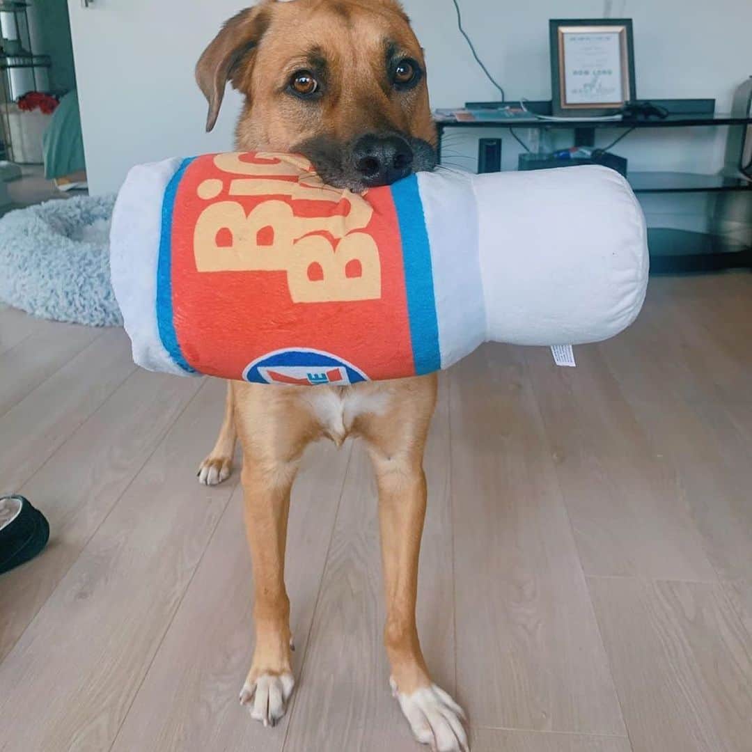 BarkBoxさんのインスタグラム写真 - (BarkBoxInstagram)「YOU ASKED FOR 'EM, now we've got 'em! . BIG TOIS FOR BIG BOIS (and girls) 🤩⁠ ⁠. We're talkin' BIG. HONKIN'. PLUSH. TOYS.⁠ . You have until 7/1 to add your favorites to your pup's next BarkBox! . We've got:⁠ 🚨 Frank N. Footer⁠ 🚨 Big Burp Slurp⁠ and more 😆⁠ ⁠. Tap link in bio to grab yours, and click this link to find a WHOLE album of our "Big Tois for Big ⁠Bois" >> https://ruv.me/bigboitoys . ⁠ (You might be able to find some Frank-N-Furters still at @target or Big Burps at @Petco, too!) ⁠⠀ @hereibroughtyouthis⁠⠀ @azulabalance⁠⠀ @gemma_rescue_pup⁠⠀ @millerandsamson⁠ Carrie A. on Facebook @goldenboyroo @prucrupugs Miss Rousey Leigh from Facebook @thepupstellalou @haventhehoula」6月26日 4時31分 - barkbox