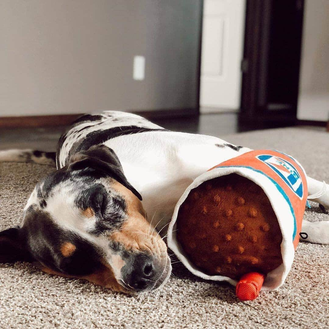 BarkBoxさんのインスタグラム写真 - (BarkBoxInstagram)「YOU ASKED FOR 'EM, now we've got 'em! . BIG TOIS FOR BIG BOIS (and girls) 🤩⁠ ⁠. We're talkin' BIG. HONKIN'. PLUSH. TOYS.⁠ . You have until 7/1 to add your favorites to your pup's next BarkBox! . We've got:⁠ 🚨 Frank N. Footer⁠ 🚨 Big Burp Slurp⁠ and more 😆⁠ ⁠. Tap link in bio to grab yours, and click this link to find a WHOLE album of our "Big Tois for Big ⁠Bois" >> https://ruv.me/bigboitoys . ⁠ (You might be able to find some Frank-N-Furters still at @target or Big Burps at @Petco, too!) ⁠⠀ @hereibroughtyouthis⁠⠀ @azulabalance⁠⠀ @gemma_rescue_pup⁠⠀ @millerandsamson⁠ Carrie A. on Facebook @goldenboyroo @prucrupugs Miss Rousey Leigh from Facebook @thepupstellalou @haventhehoula」6月26日 4時31分 - barkbox