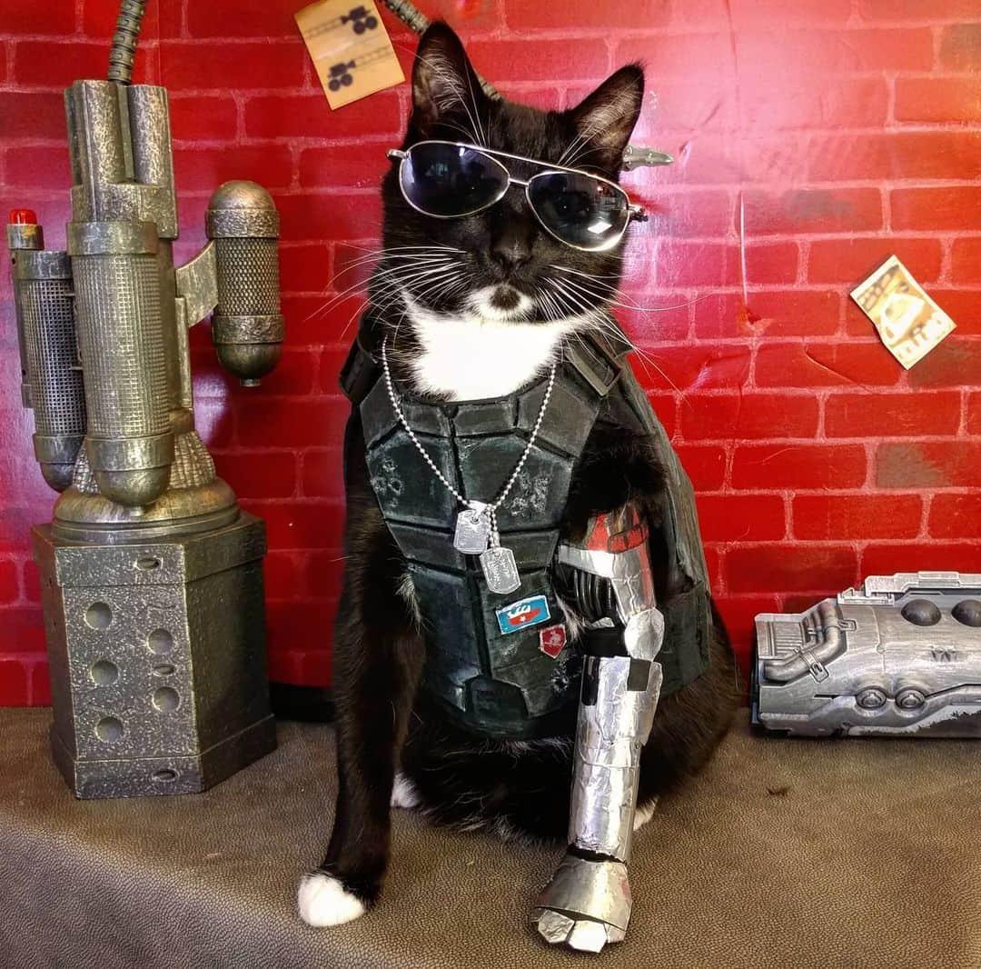 猫コスプレさんのインスタグラム写真 - (猫コスプレInstagram)「We really want to know just HOW fully customizable character creation gets. 😸  #Cyberpunk2077 #Stray #JohnnySilverhand . . . . . . . . . #catcosplay #cosplay #cyberpunkcosplay #cyberpunk #johnnysilverhandcosplay #catcostume #cat #videogamecosplay #videogame #cdprojektred #petclothes #petcostume」6月26日 4時36分 - cat_cosplay