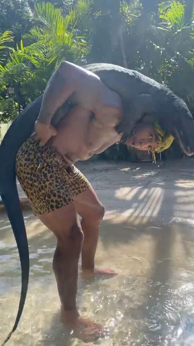 WildLifeのインスタグラム：「This Is the largest water monitor in the United States 🇺🇸 and possibly the biggest black dragon in the world 🌎 as of currently! He will get BIGGER 😳 as they can reach up to 10’ft in length ! Who wants to guess his weight in the comments below ! If you can guess the right weight I’ll cashapp you 100$ 🤑 ! Comment as much as you want 🤗! And tag a few friends ✅」