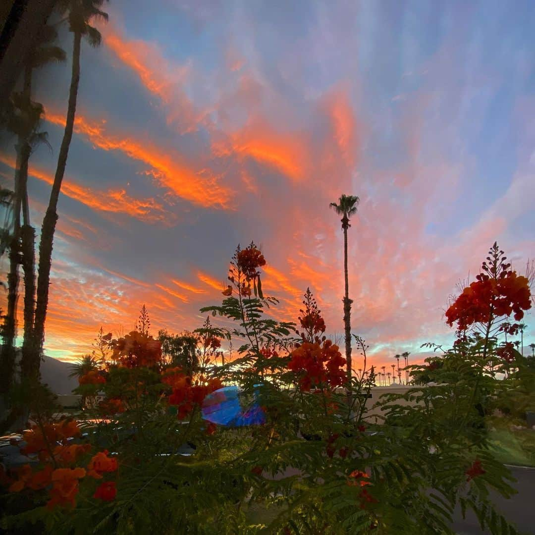 メッチェン・アミックさんのインスタグラム写真 - (メッチェン・アミックInstagram)「Focusing on staying grounded. Feeling grateful. Sending love and light to you all from under tonight’s beautiful sunset.」6月26日 16時37分 - madchenamick