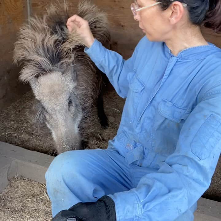 内澤旬子のインスタグラム