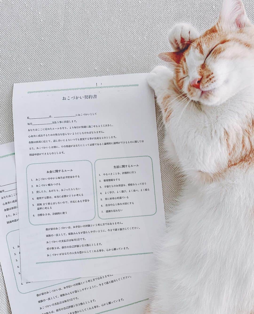 kinaxのインスタグラム：「. おこづかい契約書を作ってみました📝 . . 3年生まで、週払いのおこづかい制度でしたが 4年生になったので月1回まとめて渡してみようと思い 基本的なルールは変わっていないけど 今までより少しランクアップしたんだな、と 意識が変わるのを期待して 契約書、という形にしてみました。 . . それぞれのご家庭で考え方も違うと思うけど 我が家は、お手伝いとおこづかいは連動していません。 . 家族が快適に過ごせるように努力するのは 家族の一員なら当然の事だと思うし 生活する上で必要なことや、自分の身の回りの事を 対価の有無でやるやらないと判断する事を 私は望んでいないからで、 あくまで我が家のおこづかいは 単純に金銭感覚を養うためのものであって 少額のうちに、無駄遣いして後悔して欲しいなとも 思っています。 (一応無駄遣いしないでねという意味の事は書いてあるけど) . 今のところちびっこ姉さんは計画的に 隔月発行の雑誌を購入したり、 貯金した中からお誕生日プレゼントを買ってくれたり、 欲しかったおもちゃを買ったりしています。 . . 大前提として、学校や勉強で必要なものは こちらで購入するので おこづかいで買うものってそんなに多くはないのだけど 今、最近はまっているシリーズものの小説が欲しいようで でもおこづかいだけじゃスローペースでしか買えなくて 図書館にもバラバラにしかないし 古本屋さんでもちょうど欲しいのがなかったり、 本だから買ってあげようかなとも思うのだけど 線引きが難しい… . 悩みつつ、話し合いながらルールは改良していきたいな。 . . ちなみに 「論理的に説明が出来たらおこづかいUPもするよ」 と書いてますが、 ちびっこ姉さんが私をまだ論破できた事はないので 交渉で負ける日がくるのが楽しみだなぁ。笑 . . #親バカ部 #おこづかい契約書 #猫バカ部 #保護猫」