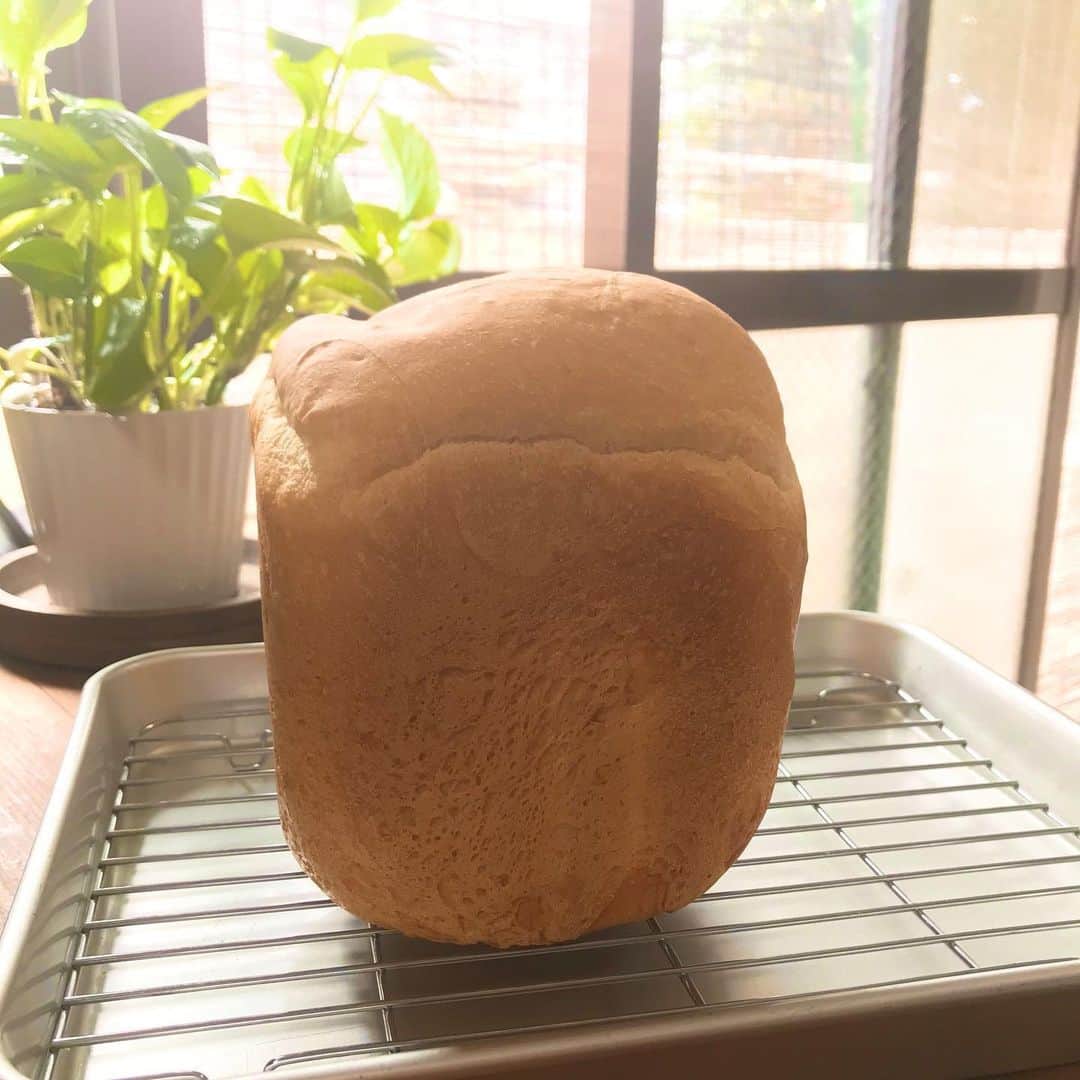 栗原まもるさんのインスタグラム写真 - (栗原まもるInstagram)「急激に食べたくなって作ったコーヒーパウンドケーキと、最近うちで好評の米粉のミックス粉で焼いたパンと、自分用に買ったジムTシャツ。 いい感じです☺️✨ 柔らかで着やすい良い生地。」6月26日 15時23分 - kurimamo.jimlili