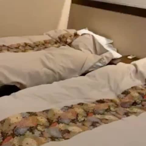 のインスタグラム：「本当は７月７日に５歳だけど🎋 少し早めの😺るな誕生日会🎂 ペットと泊まれる宿・カーロリゾートの 伊東にある『玉響の風』でお泊り🛌 好物のマグロをたくさん食べた〜😋 るなの里親になって、もう５年かぁ❗️ #神奈月 #ペットと泊まれる宿 #cat #ネコ #ねこ #猫 #愛猫 #黒猫 #保護猫 #ねこ部 #ねこのいる暮らし #ねこのいる生活 #猫好き #猫動画 #ねこすたぐらむ」