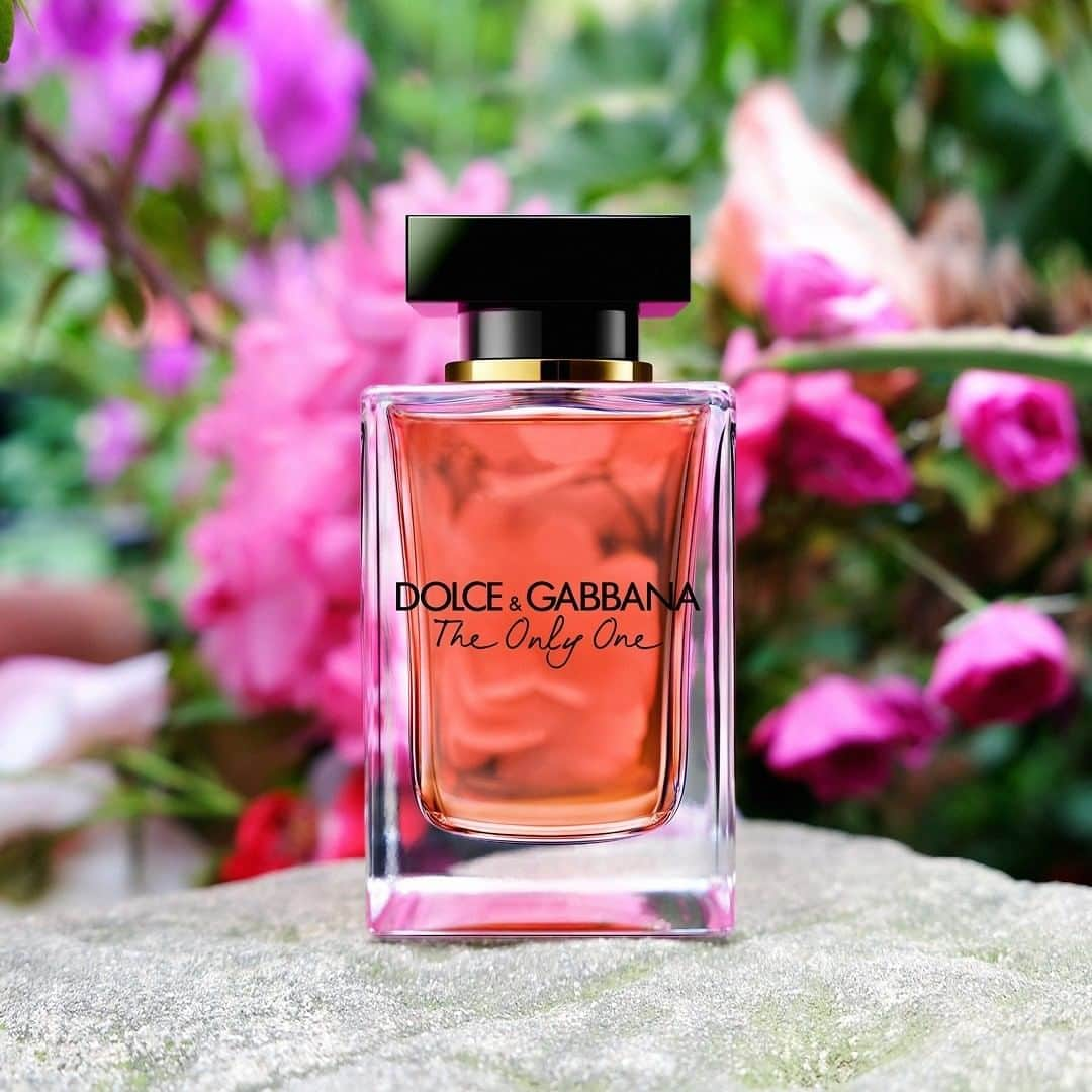 ドルチェ&ガッバーナさんのインスタグラム写真 - (ドルチェ&ガッバーナInstagram)「The Only One is the enchanting floral fragrance that captures the essence of sophisticated and hypnotizing femininity.  #DGTheOnlyOne #DolceGabbana #DGBeauty」6月26日 16時07分 - dolcegabbana