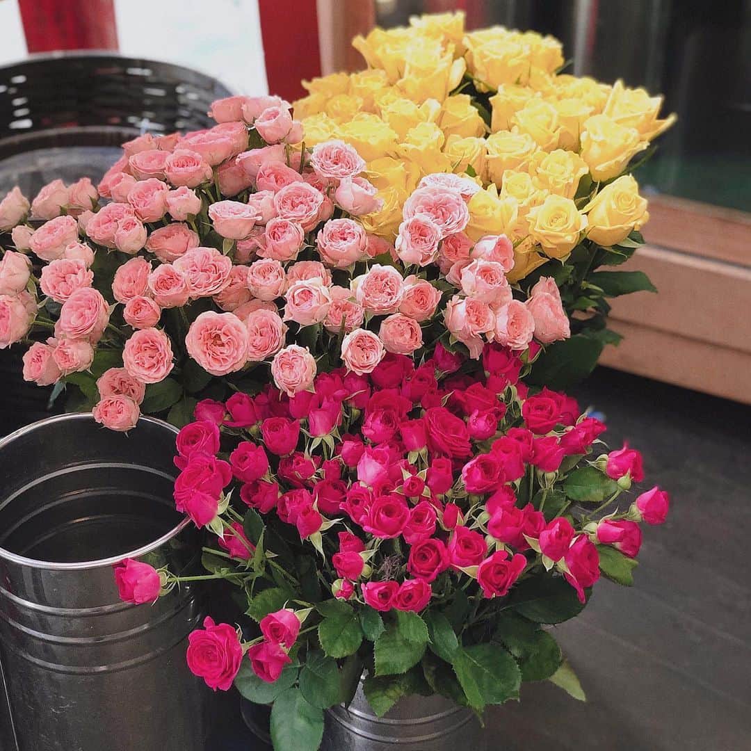 稲川千里さんのインスタグラム写真 - (稲川千里Instagram)「. . How cute💕 . カラフルなミニ薔薇があまりに目を引いて、持ち帰らずにはいられませんでした🤲🏻🌹 見ているだけで気持ちが明るくなるよ☺️ . #roses #flowers #ミニ薔薇 #お花のある暮らし」6月26日 16時18分 - chiicamera