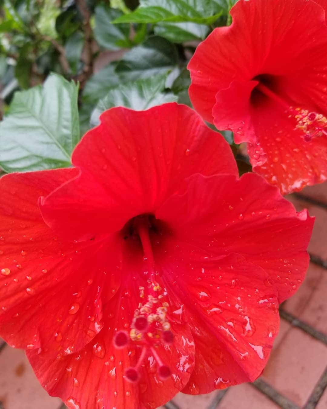 谷口キヨコのグルメインスタ