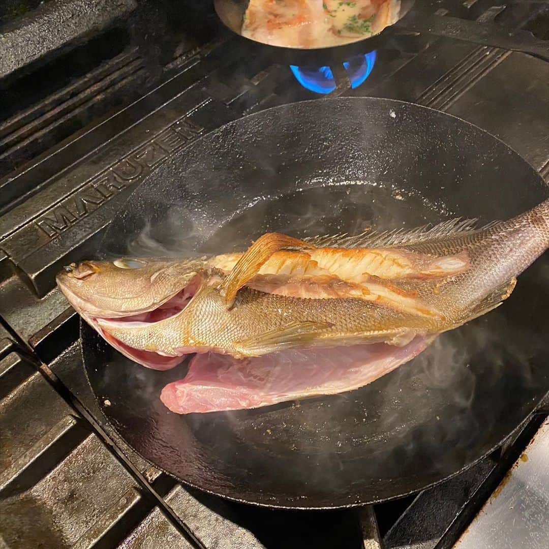 淡路島の恵み トラットリアドーニさんのインスタグラム写真 - (淡路島の恵み トラットリアドーニInstagram)「こんばんは🙂 トラットリアドーニです🇮🇹🐟 ✴︎ ✴︎ 本日は当店の名物を改めてご紹介いたします🐟🐟 ✴︎ 淡路島から直送されたお魚をアクアパッツァ（魚介類を煮込んだもの）、カルパッチョ、もしくはグリルでお楽しみいただけます😉 ✴︎ 特に大きめのお魚だと半身アクアパッツァ、半身カルパッチョも出来るので2度美味しいです🇮🇹🥰 かなり！！とても！！おすすめです！！！！！😍😍😍😍😍😍 ✴︎ 魚の入荷数が少ない時は売り切れてしまうことも多々ありますのでお早めに‼️ ✴︎ 本日も皆様のご来店お待ちしております😄 #アクアパッツァ#イタリアン#魚料理#淡路島#渋谷#渋谷マークシティ#トラットリアドーニ#明石鯛#イサキ#コチ」6月26日 16時28分 - 10zen_shibuyaten