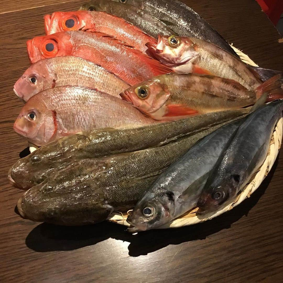 淡路島の恵み トラットリアドーニさんのインスタグラム写真 - (淡路島の恵み トラットリアドーニInstagram)「こんばんは🙂 トラットリアドーニです🇮🇹🐟 ✴︎ ✴︎ 本日は当店の名物を改めてご紹介いたします🐟🐟 ✴︎ 淡路島から直送されたお魚をアクアパッツァ（魚介類を煮込んだもの）、カルパッチョ、もしくはグリルでお楽しみいただけます😉 ✴︎ 特に大きめのお魚だと半身アクアパッツァ、半身カルパッチョも出来るので2度美味しいです🇮🇹🥰 かなり！！とても！！おすすめです！！！！！😍😍😍😍😍😍 ✴︎ 魚の入荷数が少ない時は売り切れてしまうことも多々ありますのでお早めに‼️ ✴︎ 本日も皆様のご来店お待ちしております😄 #アクアパッツァ#イタリアン#魚料理#淡路島#渋谷#渋谷マークシティ#トラットリアドーニ#明石鯛#イサキ#コチ」6月26日 16時28分 - 10zen_shibuyaten