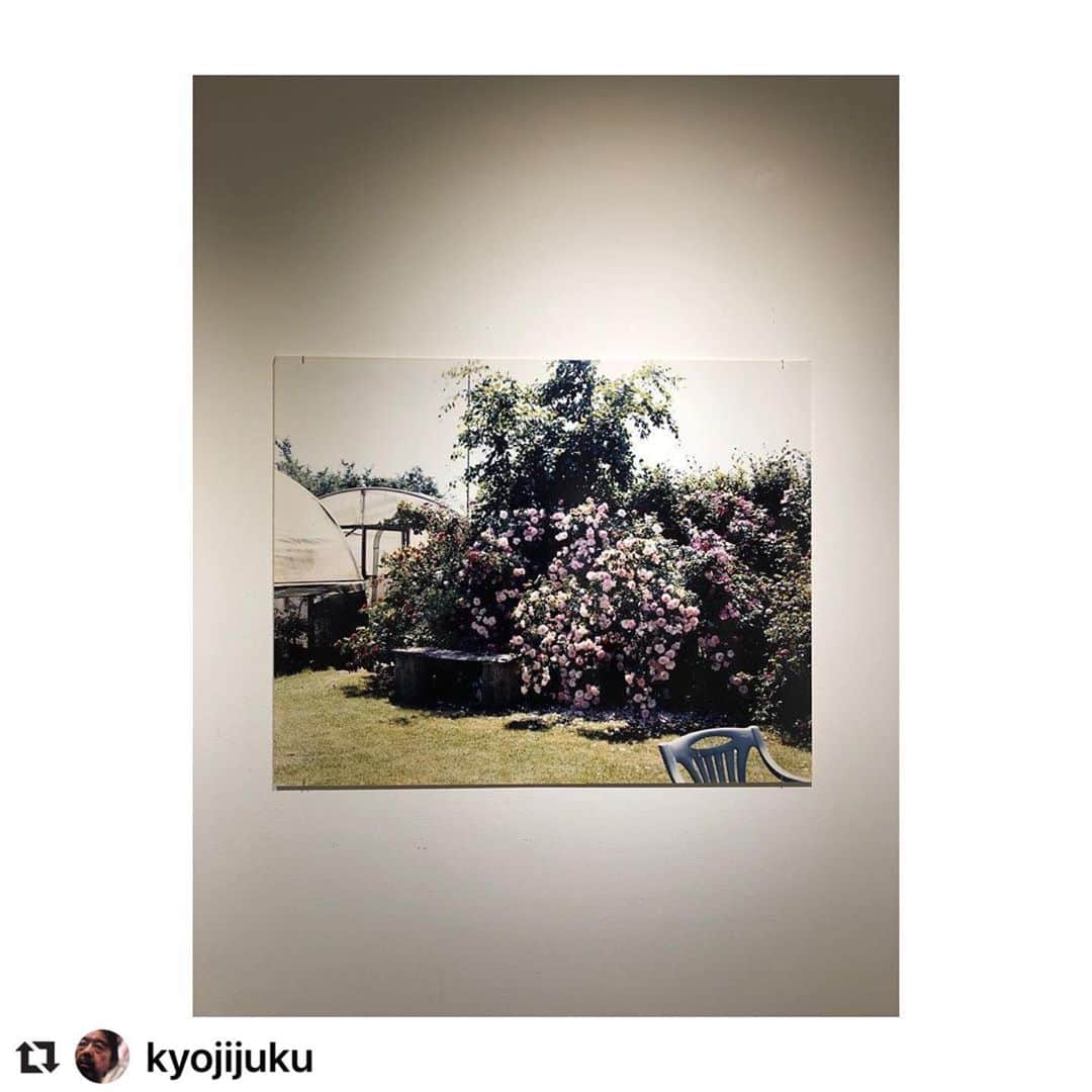 ハミルのグルメインスタ