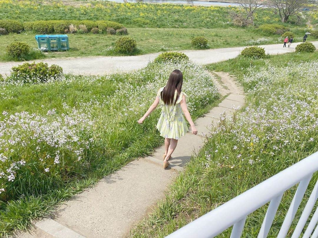 由良朱合さんのインスタグラム写真 - (由良朱合Instagram)「🌿🍃🍀🌼☘️🌷🍃🌱 #ヤングアニマル #グラドル#グラビア#由良朱合#オフショット#instagood #instalike #instagram #japanesegirl #gravure#photography #flowers #fff#水着 #셀카#뷰티스타그램#셀카그램#좋아요#팔로우 #粉我」6月26日 8時43分 - yura0312akari