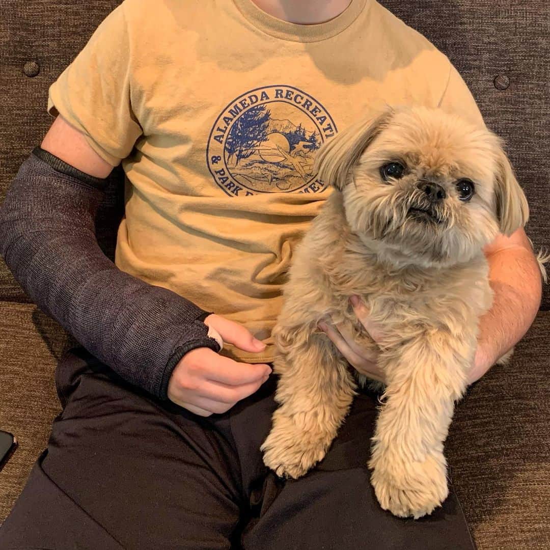 Dougie the Shih Tzuさんのインスタグラム写真 - (Dougie the Shih TzuInstagram)「Update on the kid: splint off, stitches out, and the cast is on!  He goes back in four weeks for more x-rays to make sure it’s healing ok.  The first set of x-rays were a little concerning, but the second set from a different angle looked a lot better.  Please let me repeat that a teenager on an old Razor scooter with little wheels is a disaster waiting to happen.」6月26日 8時38分 - dailydougie