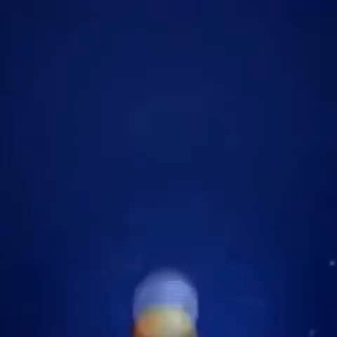 ホセ・レイエスのインスタグラム：「#TBT Mela🥚☹️」