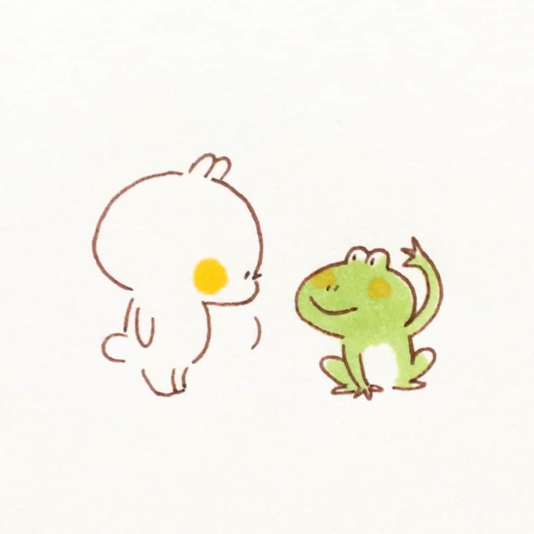 カモのインスタグラム