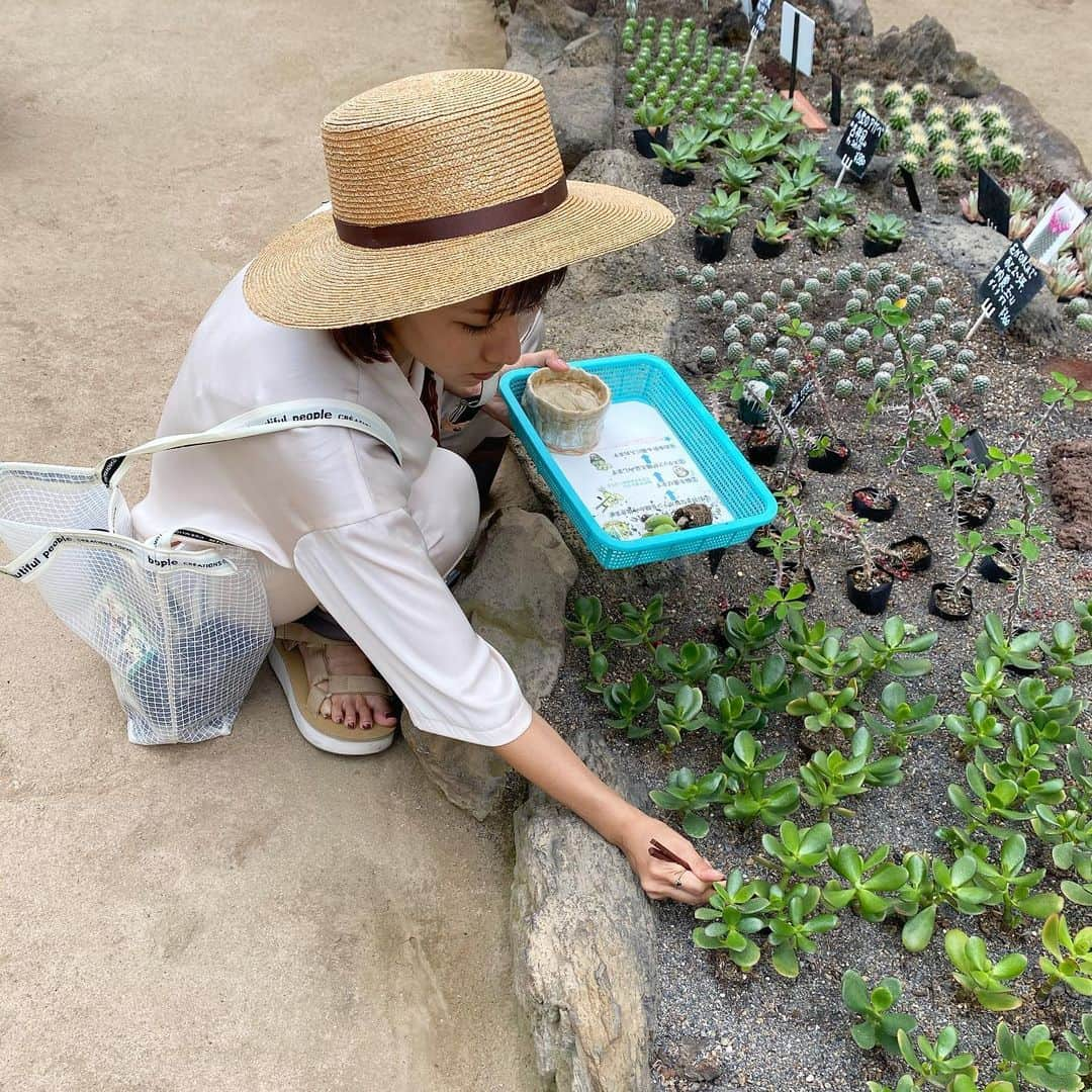 Aya（高本彩）さんのインスタグラム写真 - (Aya（高本彩）Instagram)「おはにょーございます。 今日東京は30℃まで気温あがるんですって。 暑くなりますねー🌳 サボテンとトマトとお花に水をあげます🍅」6月26日 10時46分 - aya_dream04