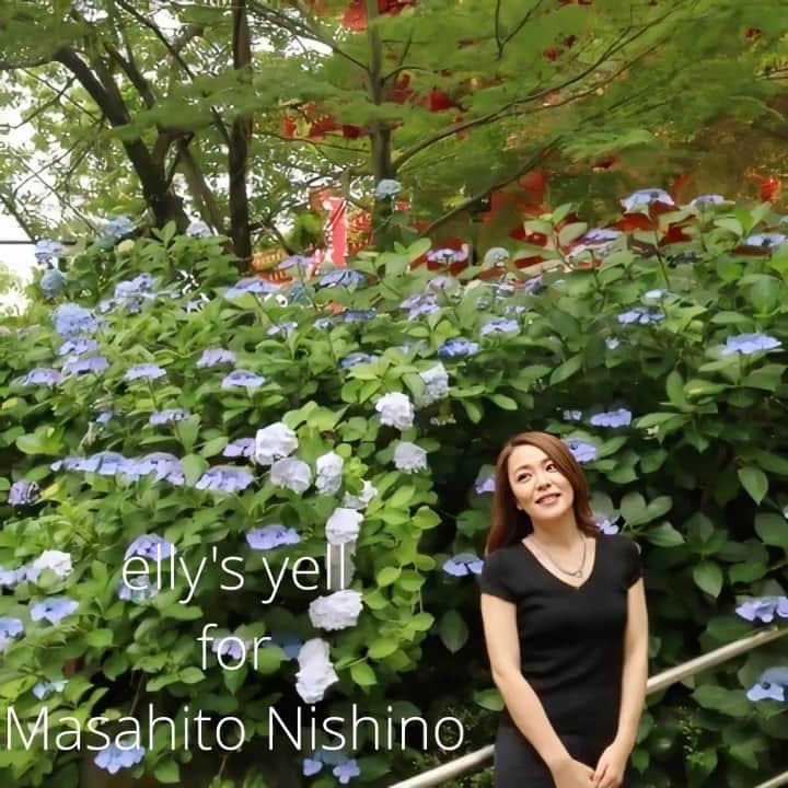今井絵理子のインスタグラム