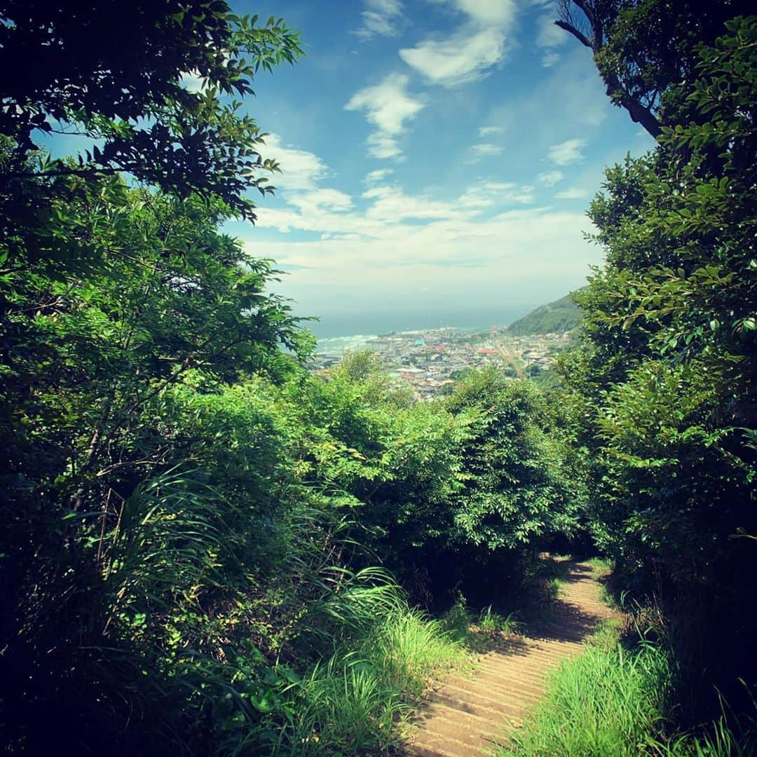 ダイスケさんのインスタグラム写真 - (ダイスケInstagram)「FC撮影で千葉の鋸山Hiking⛰ 1985年まで石切場として使われていた場所、 人工的に切り取られた岩肌、 自然にのみこまれた機械たち、 おい茂るジャングル。 天空の城的世界観を感じられる山でした🌲🌲🌲🌞 日本百低山のひとつ☝🏻 ごちそう山🙏  #鋸山 #trekking  #laputacastleinthesky  #ラピュタ #登山 #旅 #日本百低山」6月26日 16時47分 - daisukekatayama_official