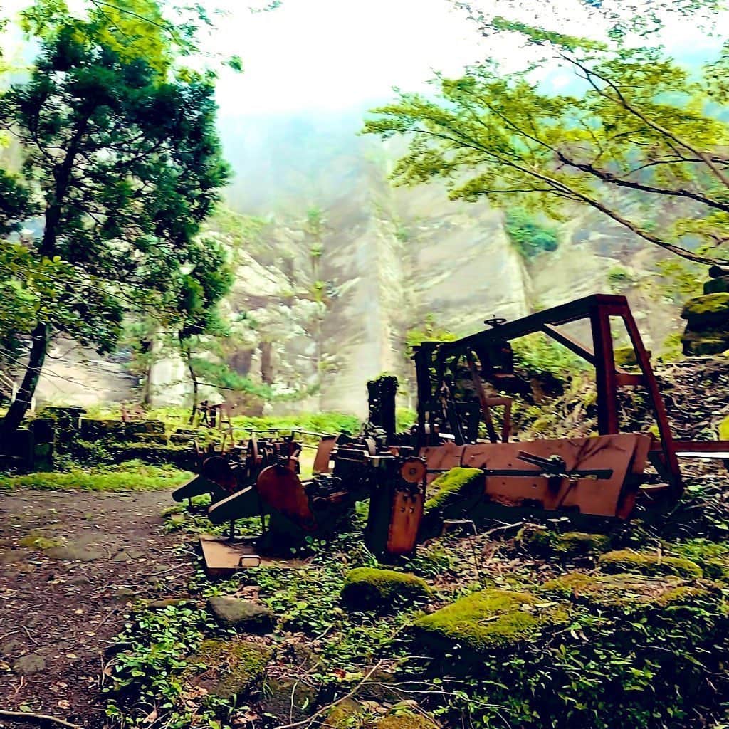 ダイスケさんのインスタグラム写真 - (ダイスケInstagram)「FC撮影で千葉の鋸山Hiking⛰ 1985年まで石切場として使われていた場所、 人工的に切り取られた岩肌、 自然にのみこまれた機械たち、 おい茂るジャングル。 天空の城的世界観を感じられる山でした🌲🌲🌲🌞 日本百低山のひとつ☝🏻 ごちそう山🙏  #鋸山 #trekking  #laputacastleinthesky  #ラピュタ #登山 #旅 #日本百低山」6月26日 16時47分 - daisukekatayama_official