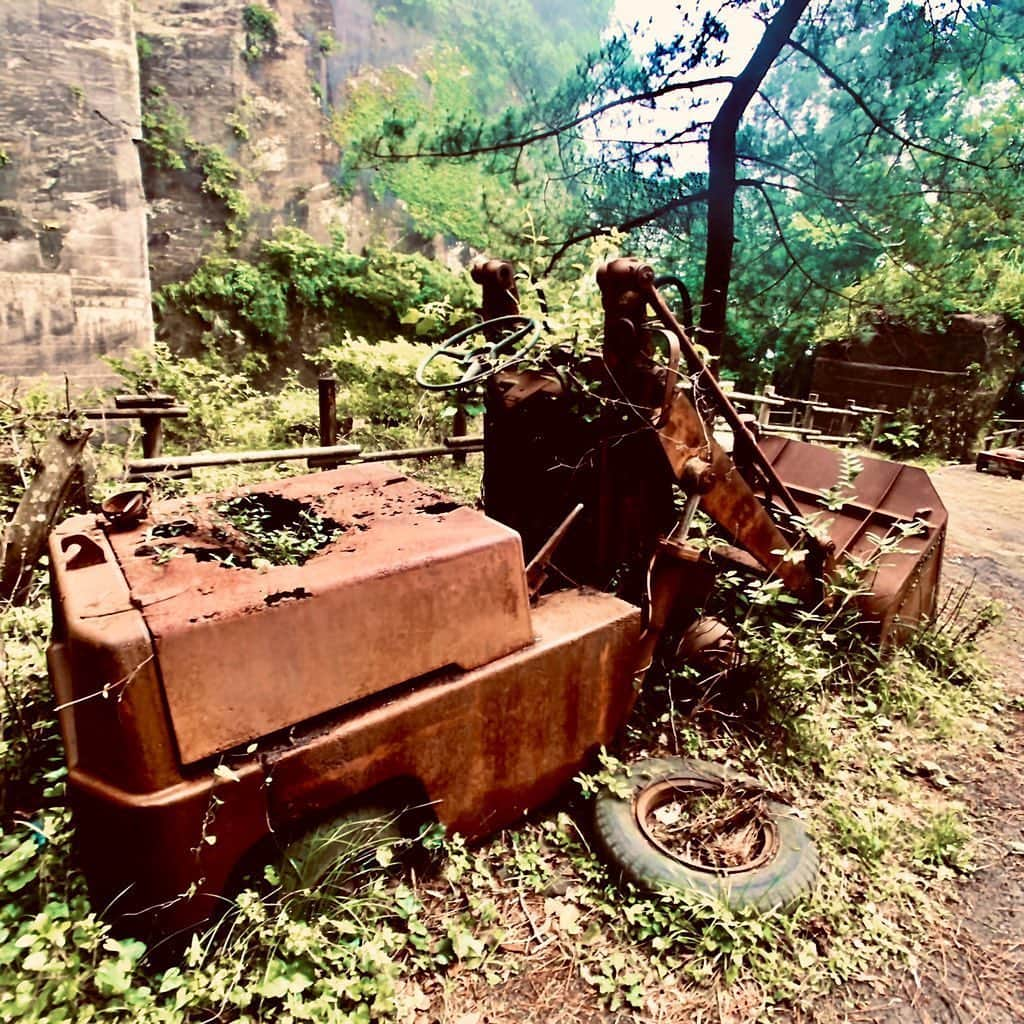 ダイスケさんのインスタグラム写真 - (ダイスケInstagram)「FC撮影で千葉の鋸山Hiking⛰ 1985年まで石切場として使われていた場所、 人工的に切り取られた岩肌、 自然にのみこまれた機械たち、 おい茂るジャングル。 天空の城的世界観を感じられる山でした🌲🌲🌲🌞 日本百低山のひとつ☝🏻 ごちそう山🙏  #鋸山 #trekking  #laputacastleinthesky  #ラピュタ #登山 #旅 #日本百低山」6月26日 16時47分 - daisukekatayama_official