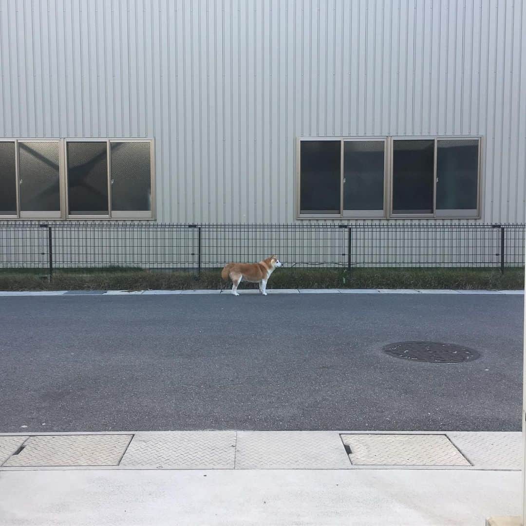 HALFBYのインスタグラム