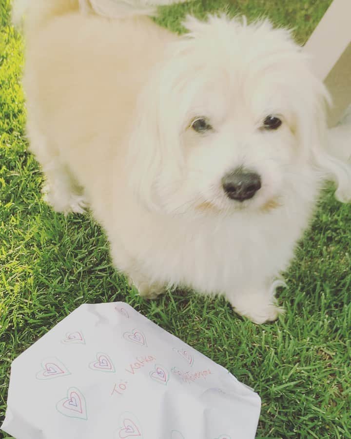 のインスタグラム：「Happy Birthday to my mythical creature- my sunshine!! ❤️❤️❤️❤️❤️❤️❤️」