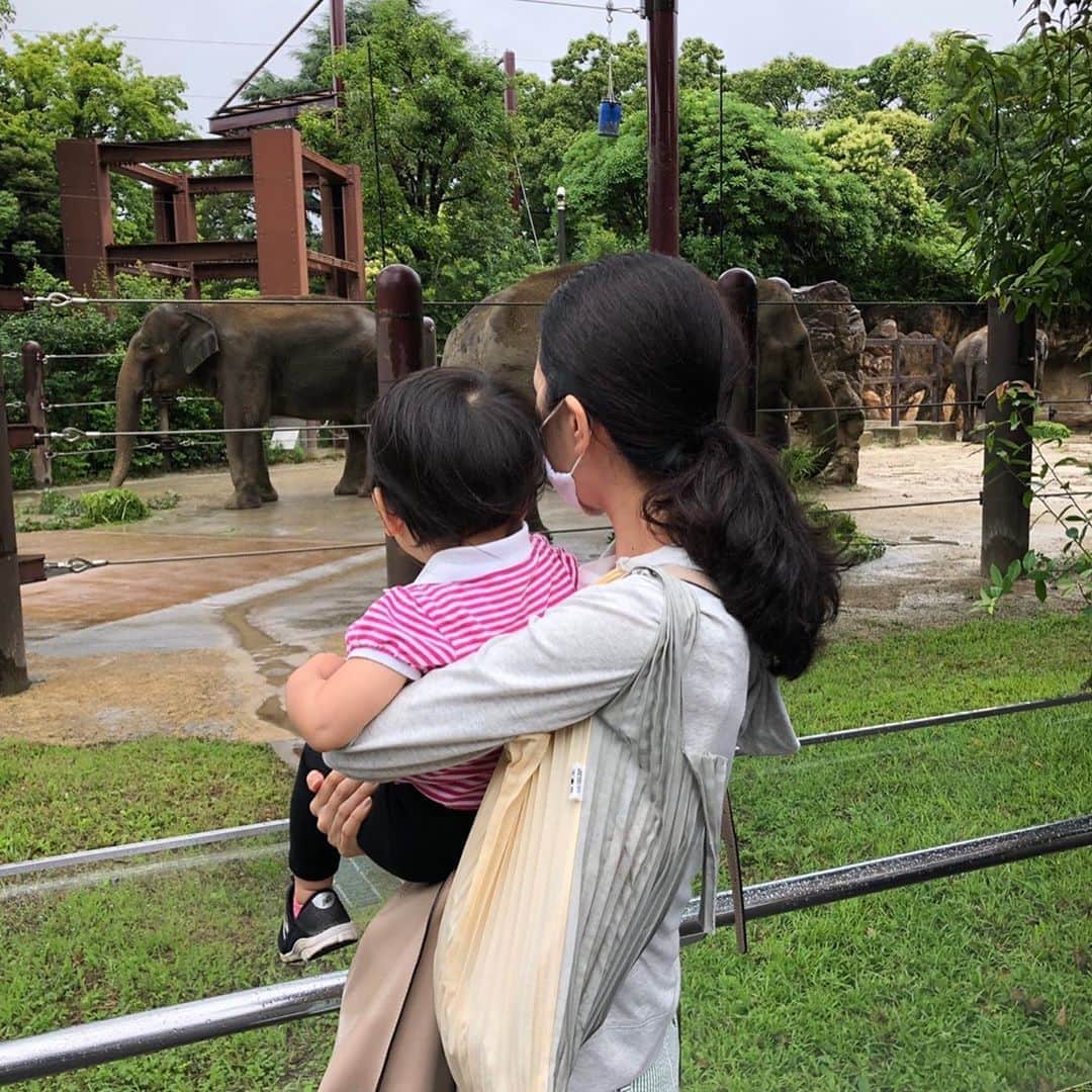 徳重杏奈さんのインスタグラム写真 - (徳重杏奈Instagram)「🐼﻿ 家族と上野動物園 ﻿ ﻿ 3歳になったシャンシャンに﻿ 会ってきました✨﻿ ﻿ 感染防止のため﻿ 写真は撮れませんでしたが﻿ きのうもよく眠っていました。﻿ ﻿ 写真2、3枚目は﻿ 2018年1月のもの☺️﻿ ﻿ ﻿ サルもキリンも﻿ 赤ちゃんがいて﻿ とっても可愛かったです🐒🦒﻿ ﻿ ゾウ舎の近くにいた﻿ 詳しいおじさまによると﻿ このゾウは妊娠中で﻿ 10月出産予定だそう🐘﻿ ﻿ 姪はぞうさんの歌を送っていました🧒🏻﻿ ﻿ ﻿ ﻿ #姪っ子 #おばバカ #おば活 #姪との動物園は東山動植物園ぶり #パンダ #名古屋 #メーテレ #アナウンサー #徳重杏奈﻿」6月26日 12時07分 - anna.tokushige