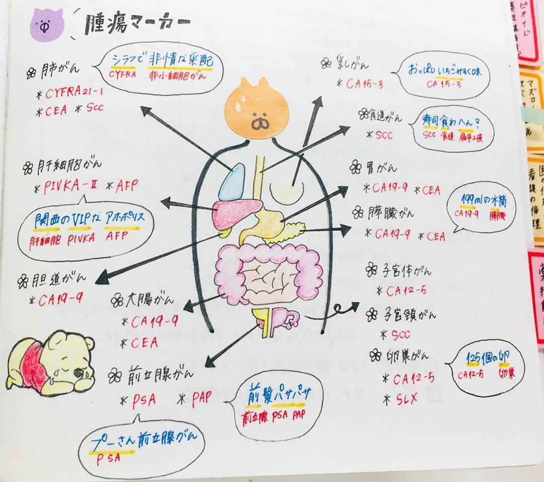 ネコナースのインスタグラム