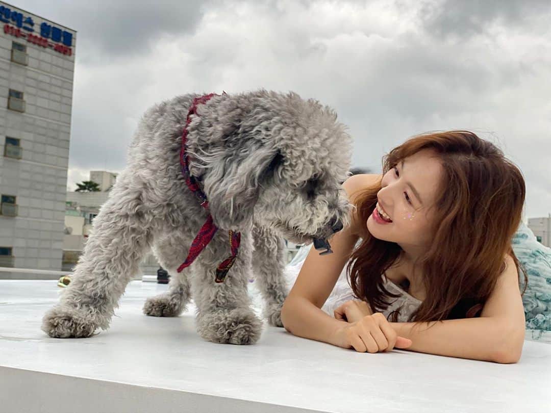 キム・ジェギョン さんのインスタグラム写真 - (キム・ジェギョン Instagram)「어제의 비타민🍋🐶🍋」6月26日 12時23分 - _kimjaekyung_