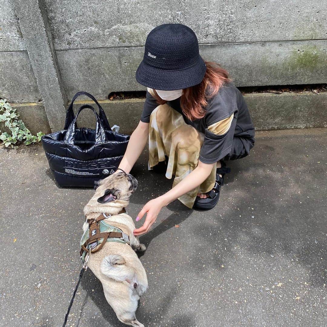 古川優香さんのインスタグラム写真 - (古川優香Instagram)「お散歩してたらフクめっちゃおっちゃんにナンパされる🤣」6月26日 12時51分 - iamyukaf