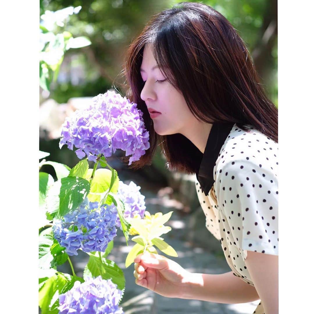 のインスタグラム：「紫陽花の紫が不意と頬に映って、花びら色のお化粧してるみたいになった🌸  Photographer：@film.byluuvu  #撮影#梅雨#紫陽花#紫#反射#化粧#雨上がり#空気#清々しい#末永百合恵#shooting#june#rainyseason#hydrangea#purple#reflection#cheek#flowers#fleurs」