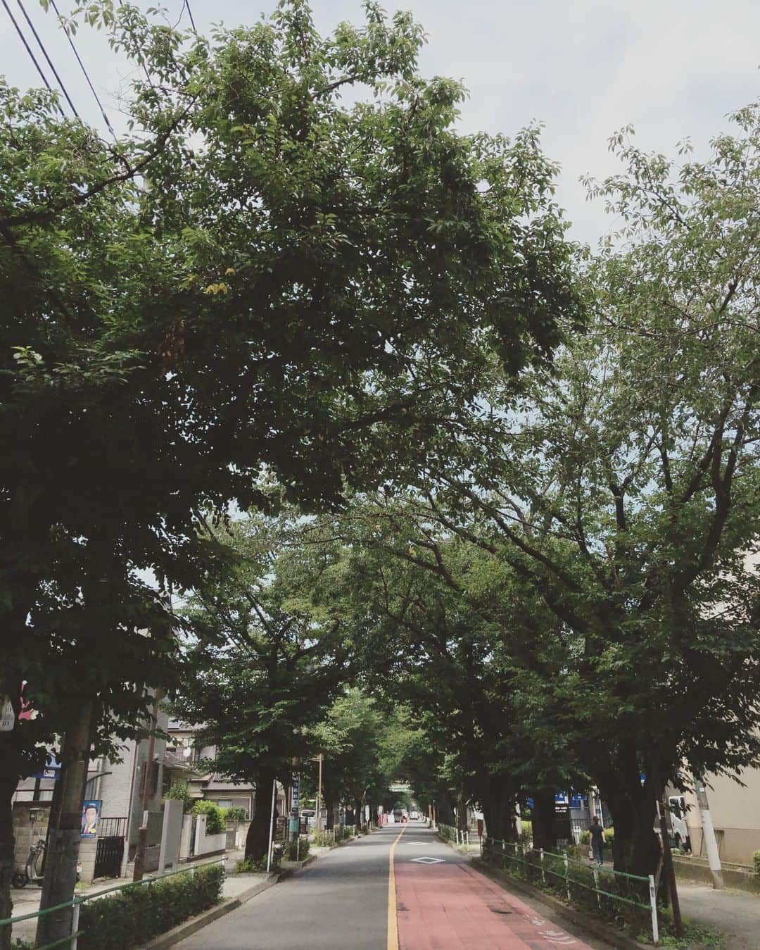 のインスタグラム
