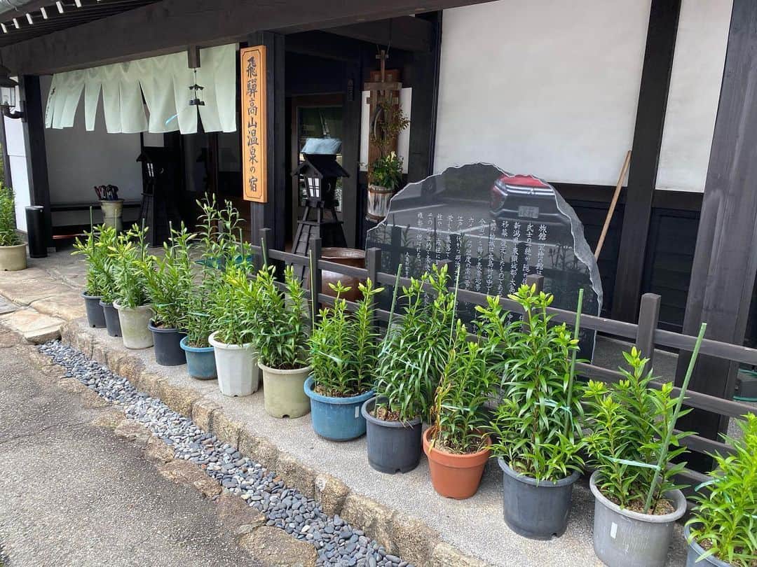 飛騨高山 旅館あすなろさんのインスタグラム写真 - (飛騨高山 旅館あすなろInstagram)「. 今年もユリを玄関先にかざりました😊 今はまだ、つぼみですが、綺麗な花を咲かせ、皆様に楽しんでいただけると思います☀️ 我々も楽しみにしております✨  #日本　#岐阜県　#高山　#旅館　#旅館あすなろ　#百合 #ユリ#飛騨高山 #温泉　 #飛騨高山観光　#高山観光　#温泉旅館　#女子旅　#古い街並み　#instagramjapan  #japan #gifu #takayama #hidatakayama #onsen #asunaro #ryokan #ryokanasunaro #kaiseki #travel #travelgram #instatravel #japantrip #japantravel」6月26日 13時31分 - ryokanasunaro