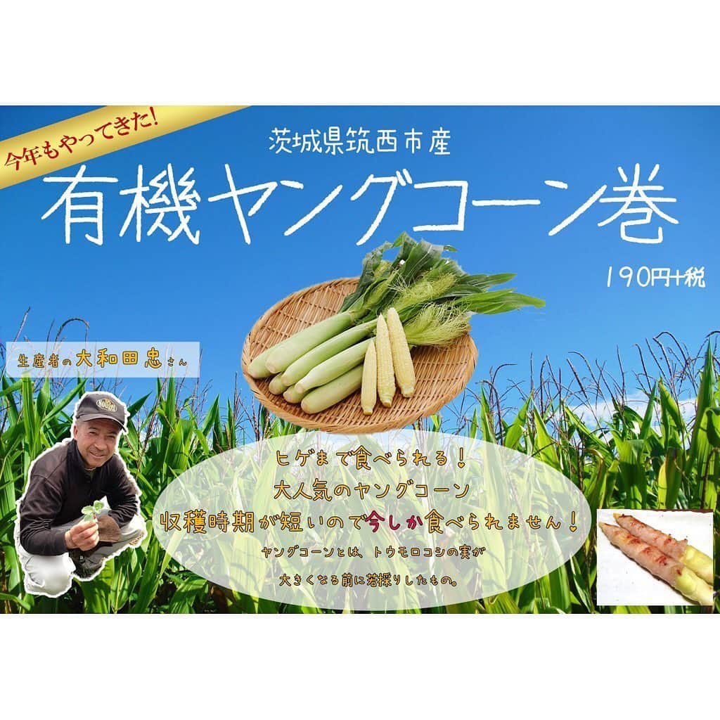 【元祖串焼き】''串タロー''公式アカウントさんのインスタグラム写真 - (【元祖串焼き】''串タロー''公式アカウントInstagram)「. 新スポット巻き串 有機ヤングコーンを使用した「ヤングコーン」はじまりました！ . ヒゲまで食べられる大人気のヤングコーン🌽 . 生産地：茨城県筑西市産 生産者：大和田忠さん . 有機ヤングコーンは日本でも1％程度の流通量でとても珍しい野菜。 生産者の大和田さんは薬剤を一切使わずに毎日一本一本丁寧に見て回ってます。 . 収穫時期が短いので、今しか食べられない一品です。 . URLはこちら @kushitarou_official . #新宿居酒屋 #新宿 #串タローのこだわり #王道 #王道巻き串 #新宿まき串 #串焼き #串タロー #ヤングコーン #茨城県産 #筑西市 #大和田忠」6月26日 13時52分 - kushitarou_official