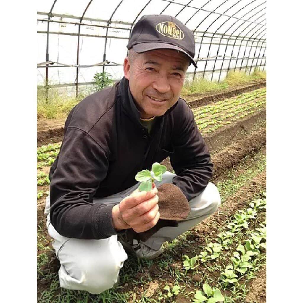 【元祖串焼き】''串タロー''公式アカウントさんのインスタグラム写真 - (【元祖串焼き】''串タロー''公式アカウントInstagram)「. 新スポット巻き串 有機ヤングコーンを使用した「ヤングコーン」はじまりました！ . ヒゲまで食べられる大人気のヤングコーン🌽 . 生産地：茨城県筑西市産 生産者：大和田忠さん . 有機ヤングコーンは日本でも1％程度の流通量でとても珍しい野菜。 生産者の大和田さんは薬剤を一切使わずに毎日一本一本丁寧に見て回ってます。 . 収穫時期が短いので、今しか食べられない一品です。 . URLはこちら @kushitarou_official . #新宿居酒屋 #新宿 #串タローのこだわり #王道 #王道巻き串 #新宿まき串 #串焼き #串タロー #ヤングコーン #茨城県産 #筑西市 #大和田忠」6月26日 13時52分 - kushitarou_official