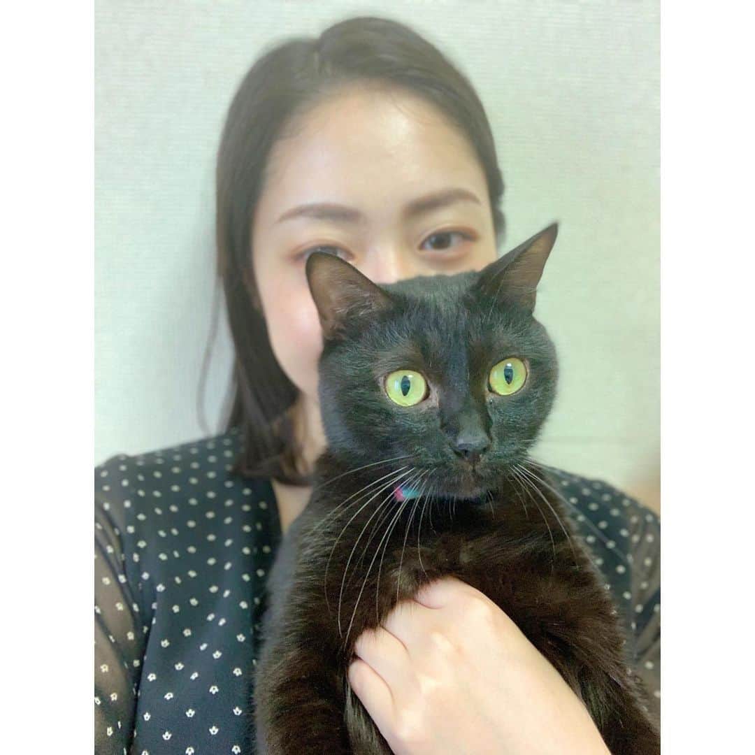 松浦雅のインスタグラム：「「ぼくわ、おりこうなんですよね」  #猫 #cat #ねこすたぐらむ #黒猫 #黒猫部 #とにーすたぐらむ」
