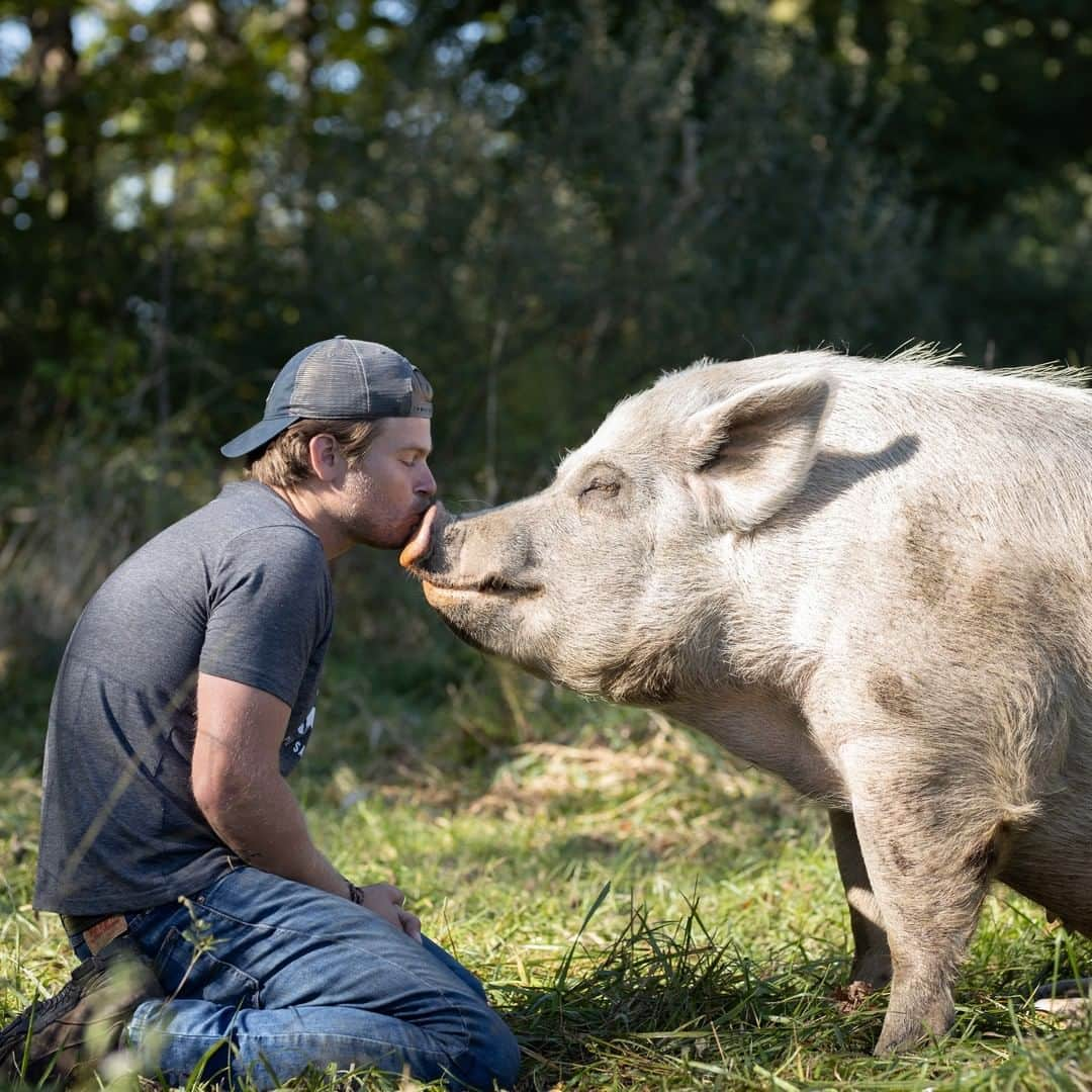 Discoveryさんのインスタグラム写真 - (DiscoveryInstagram)「#SavedbytheBarn’s @danmckerna gave up a six-figure job in technology to rescue and rehabilitate farm animals. Head to our Instagram Stories and take a virtual field trip to meet the residents of @barnsanctuary Sanctuary. ⬆️ . Watch #SavedbytheBarn Saturday at 9P on @animalplanet. . #fridayfieldtrip #farmlife #animallovers #rescue #onthefarm #dogoodthings #animalrescue #lifeofadventure  #virtualfieldtrip #amazingstories」6月27日 0時42分 - discovery