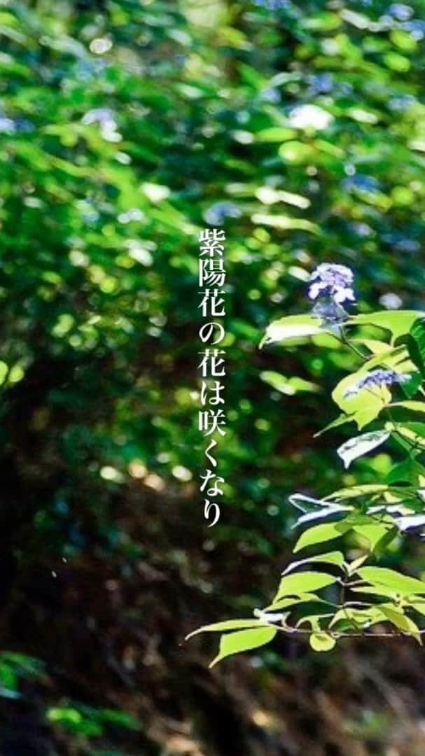 のインスタグラム：「💠 #團伊玖磨　作曲 #北山冬一郎　作詞　 歌集「わがうた」終曲 。 フルはYouTubeにあります☺️」