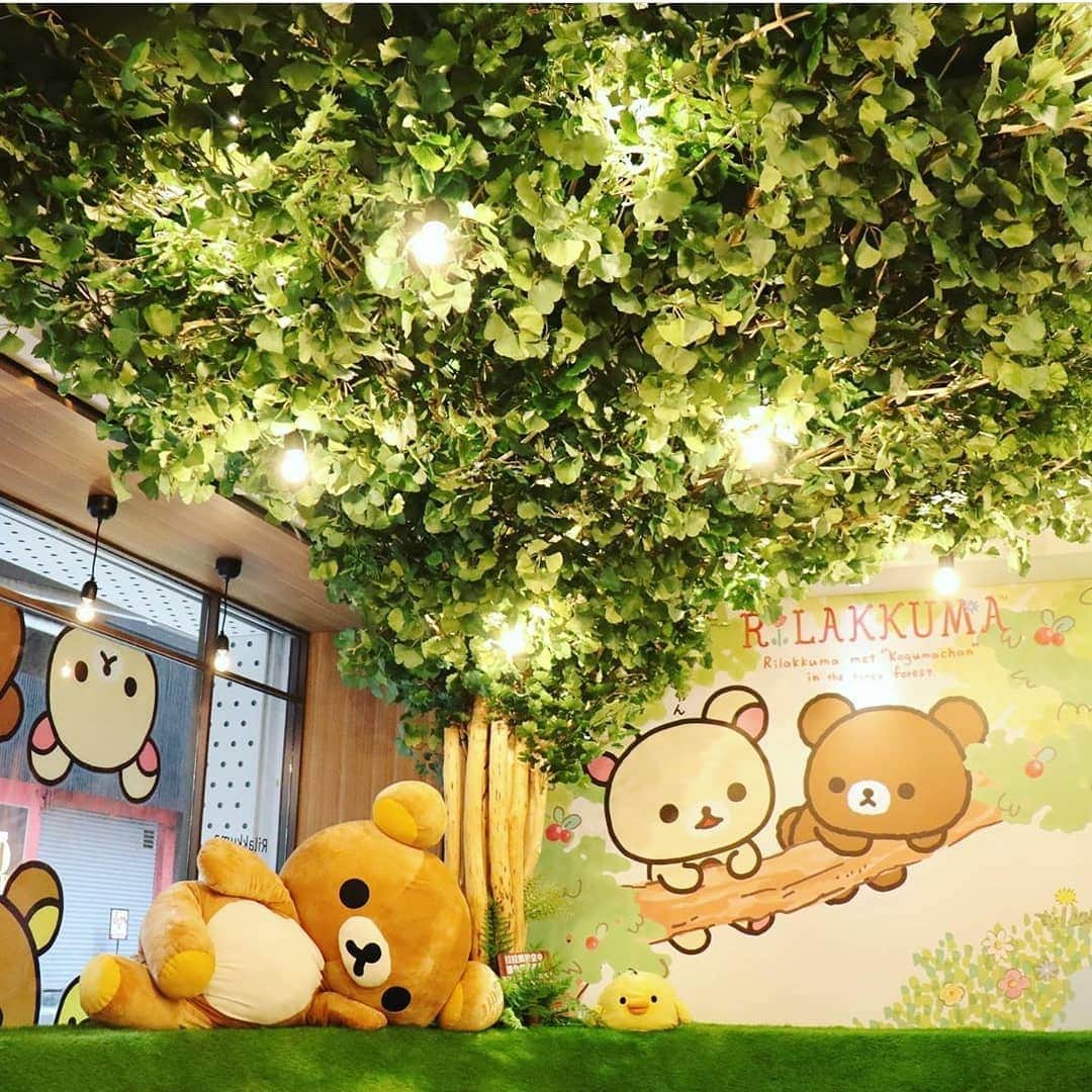 Rilakkuma US（リラックマ）さんのインスタグラム写真 - (Rilakkuma US（リラックマ）Instagram)「Would you relax is this Rilakkuma room? Get some home decor inspiration from the Rilakkuma Cafe in Taiwan! You can see pics of their interior and food at @rilakkuma.cafe.tw! . . . #rilakkumaus #rilakkuma #sanx #kawaii #plush #Korilakkuma #plush #cafe #homedecor #リラックマ #サンエックス」6月27日 1時43分 - rilakkumaus