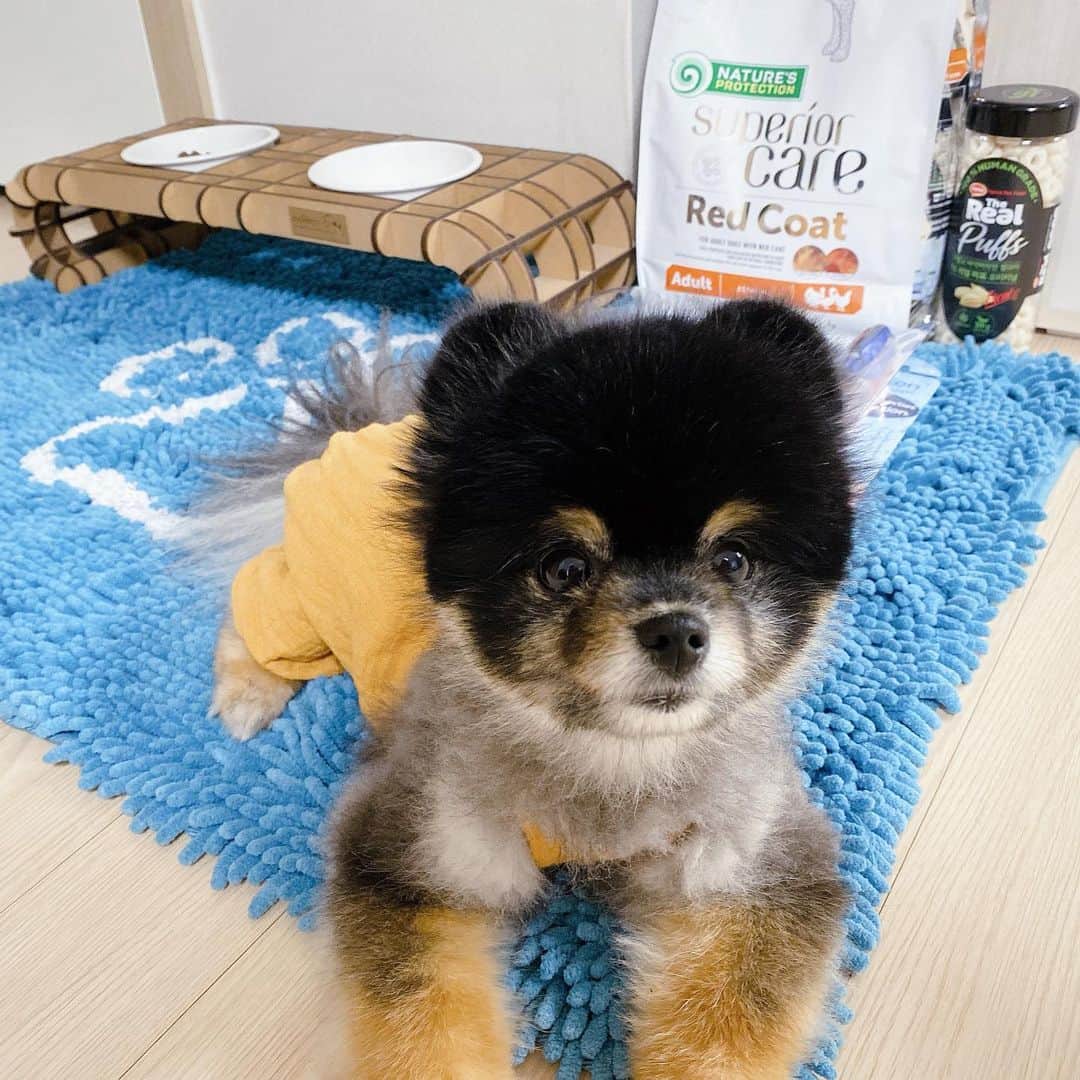 リジ のインスタグラム：「넘나 이쁜 울애기 짜장이🖤」