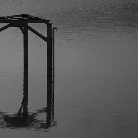 ヒラハルのグルメインスタ