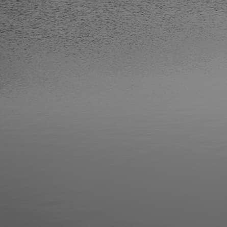 ヒラハルのグルメインスタ