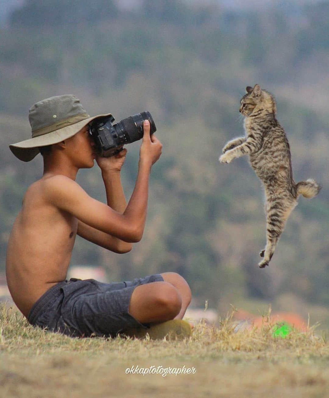 Canon Photographyさんのインスタグラム写真 - (Canon PhotographyInstagram)「What camera are you shooting on at the moment? Photography | @okkasupardan  Curated by @ianharper • • • • • #catsofinstagram #canonphotography #cats #catstagram #instacat #canon_photos #kitty #kitten #catlover #猫 #camera #canon_official #meow #catoftheday #ねこ #teamcanon #neko #gato #canon6d #dslr #고양이」6月26日 16時58分 - cpcollectives