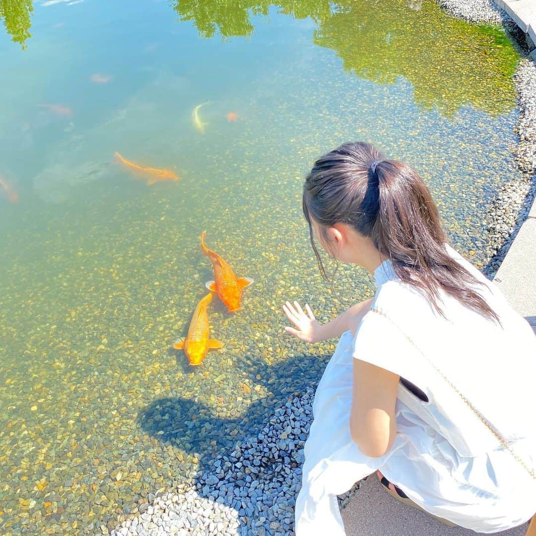 富永夢有さんのインスタグラム写真 - (富永夢有Instagram)「. 鯉寄ってきてくれたのめっちゃかわいい(*^^*)❤︎ . . #ngt48 #富永夢有 #見附 #みつけイングリッシュガーデン #鯉 #followme #좋아요」6月26日 17時00分 - tomichan_0716