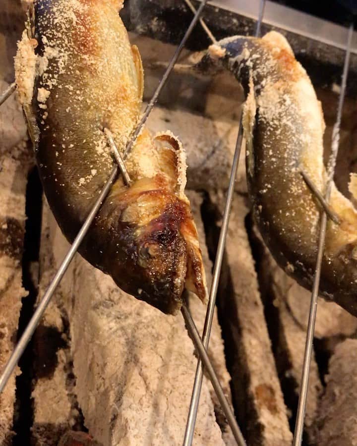 のインスタグラム：「. 【6月26日おすすめメニューです】 . 本日も鮎、穴雑魚入荷してます♪ . 天気も良く暑いので今日は1杯飲んで帰りたくないですか〜^ ^ . お店涼しくしてお待ちしてます〜 . . . 池袋寅箱 月～土　17時～23時(22時LO) 日祝　　15時～22時(21時LO) . 新宿寅箱 全日　　11時半～22時(21時LO) . ■テイクアウト 12時～20時 ※事前予約をお願い致します。 . ■テイクアウト内容 . 寅箱晩酌セット 鰻重 蒲焼き . のみとさせてください。 . ■デリバリー 専用アプリMENUをご利用ください。 go.onelink.me/MWIV/instagram . .  池袋 ☎️07013197406 .  新宿 ☎️0353577727 . ＊なお、テイクアウトはお渡しにお時間かかる場合がございますので、お電話でのご予約が必須です！  #寅箱  #鰻 #有機野菜 #刺身 #天然鰻  #鰻重 #ジビエ #グルメ #東京グルメ #ikebukuro #ikederi #デリ #takeout #池袋グルメ #蝦夷鹿 #うちグル #猪  #ジビエ料理 #鰻丼 #極上飯 #池袋日本酒 #インスタグルメ　#土鍋ごはん  #うちグル池袋 #池袋寅箱 #炭火焼 #東京日本酒 #ナチュールワイン  #wine  #食べ比べ」