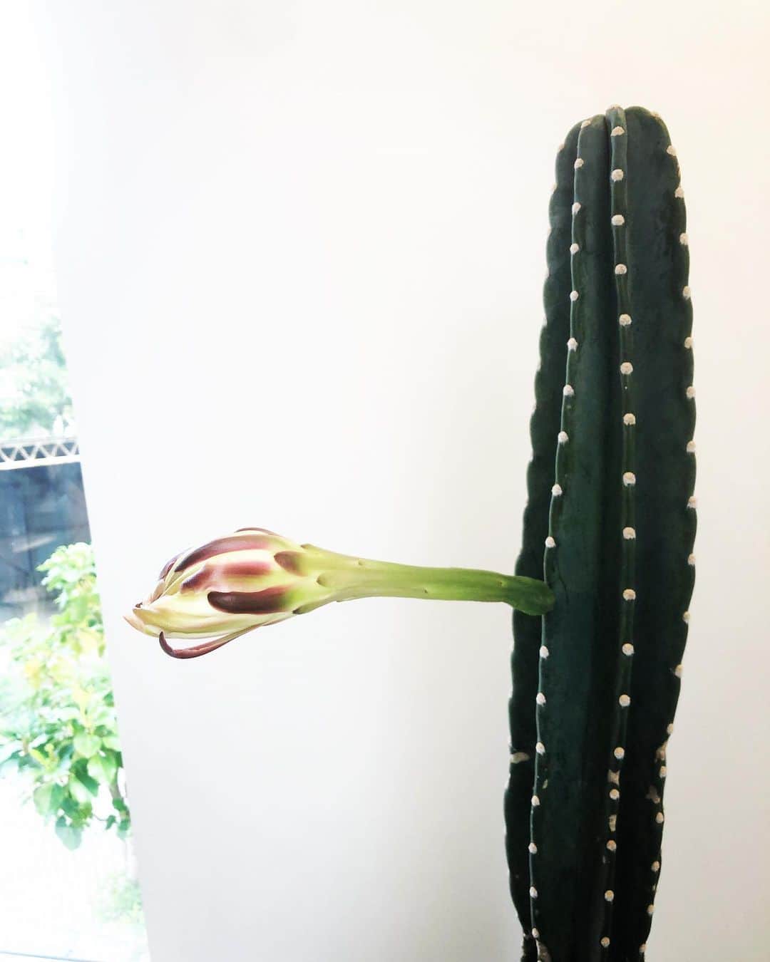 ヒデトレのグルメインスタ